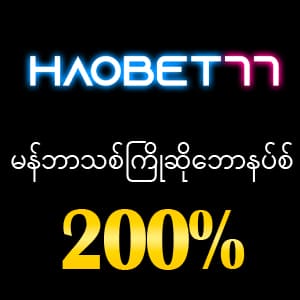 haobet77